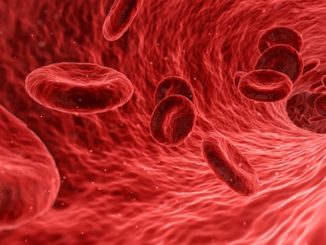 Analvenenthrombose Schwangerschaft