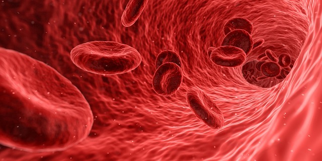 Blutet analtrombose Magen