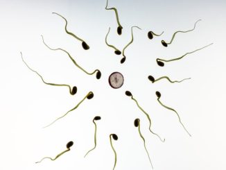 Ursachen fuer eine Asthenoteratozoospermie