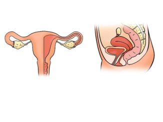Frueher Eisprung