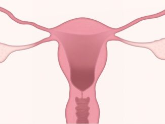 Eierstockschwangerschaft – Ursachen, Anzeichen, Verlauf, Risiken und Behandlung