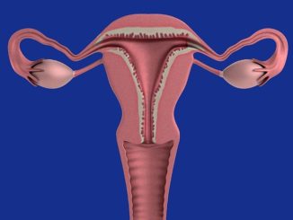 Eisprung ohne Periode – ist das moeglich?