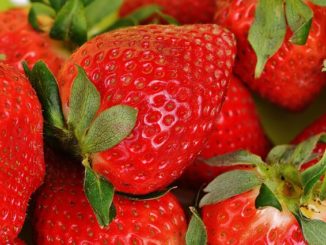 Erdbeeren in der Stillzeit