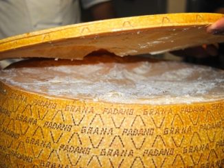 Grana Padano in der Schwangerschaft