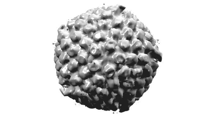 Herpes gestationis Herpes gestationis