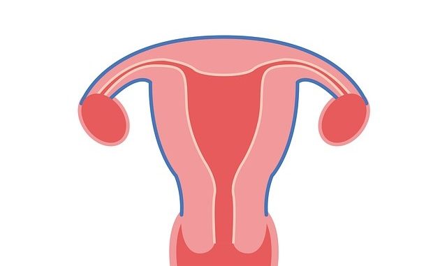 Was ist eine Uterusatonie?