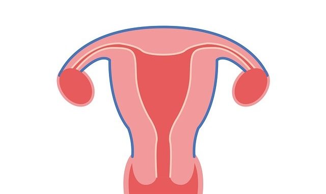 Uterusatonie Was ist eine Uterusatonie?