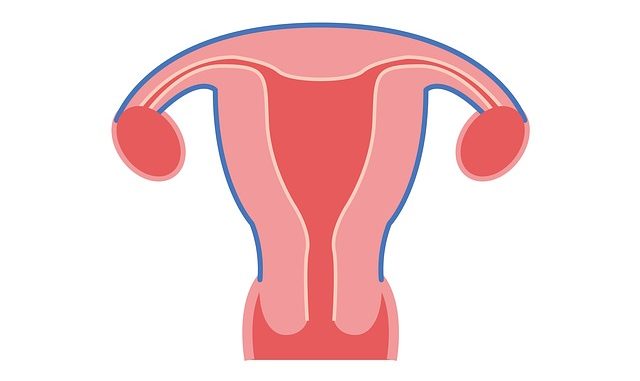 Uterusruptur Uterusruptur – schwerwiegend und nicht zu unterschaetzen