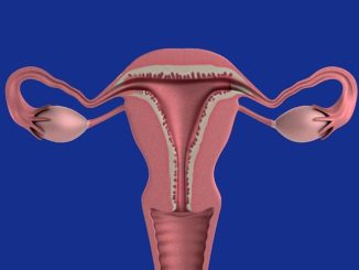 Wie merkt man den Eisprung? – Typische Anzeichen