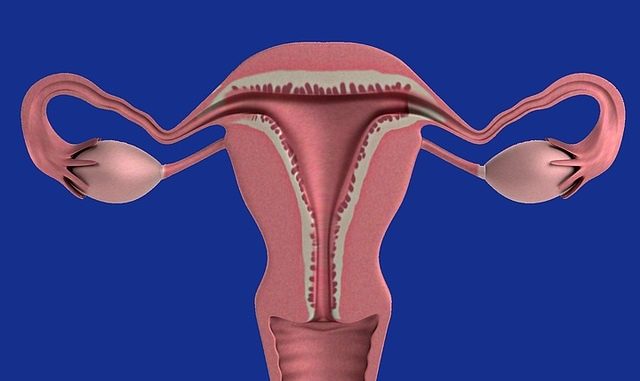 Wie merkt man den Eisprung? – Typische Anzeichen