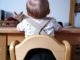 Ab wann Hochstuhl für's Baby?